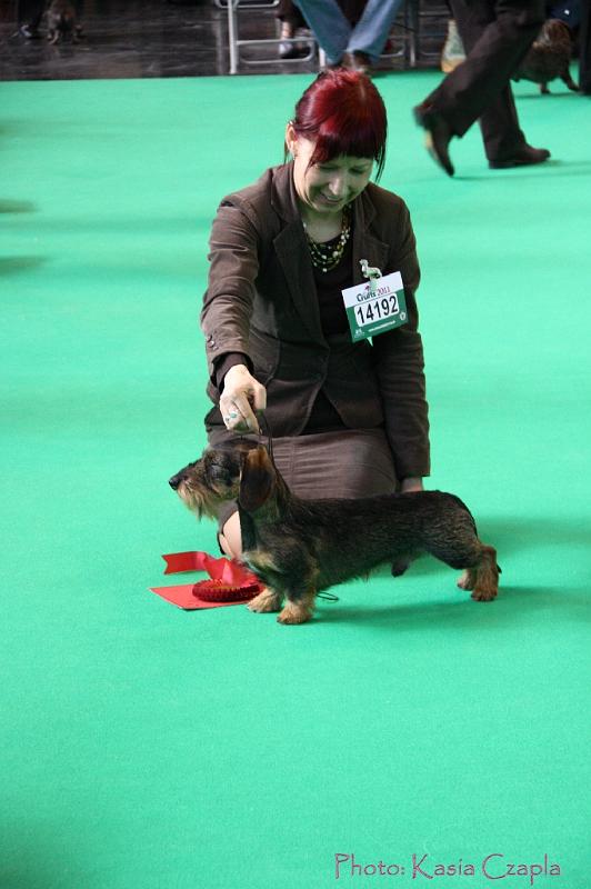 Crufts2011_2 647.jpg